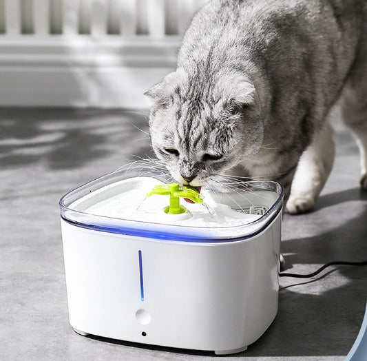 Cat Large-capacity Drinking Fountain Anti-dry-burning Pet