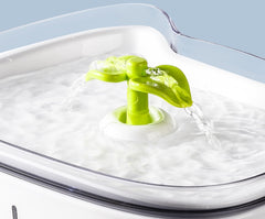 Cat Large-capacity Drinking Fountain Anti-dry-burning Pet