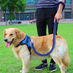 High-quality Dog Leash with Fashionable Leash Adjustable Chest Strap Combination Pet Travel Essential Safety and Comfortable Equipment